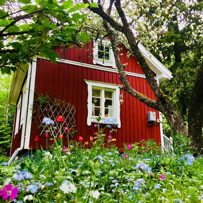 Estate In Scandinavia