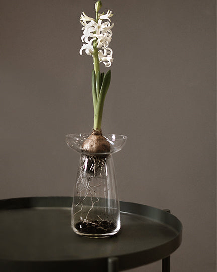 Storefactory Ale vaso di vetro per giacinto — Aito Nordic